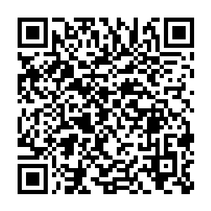 不知道那些人什么时候会有动作也不知道龙战他们什么时候会回来二维码生成