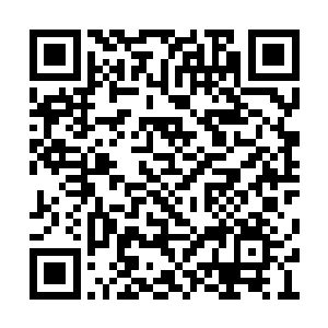 不知道那些山区的猎人们被大人训练的怎么样了二维码生成