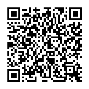 不知道那十二个远古大修士突然的出现会引起上元大陆发生什么变化二维码生成