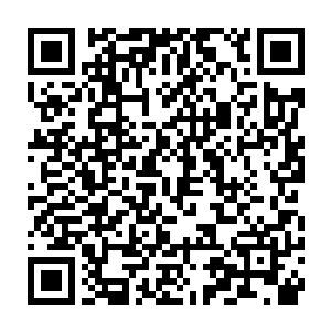 不知道锦朝大着肚子是什么样子的……她以后哄孩子入睡又是什么样子二维码生成