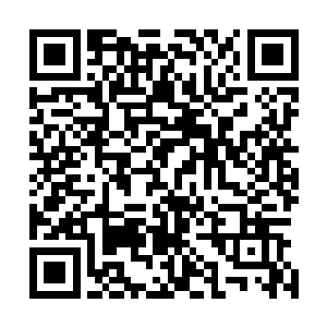 不确定自己在得到少年的心脏后能否攀登到与他同等的高度二维码生成