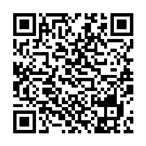 不禁暗暗后悔当初就不该给马纵横这头猛虎翻身的机会二维码生成