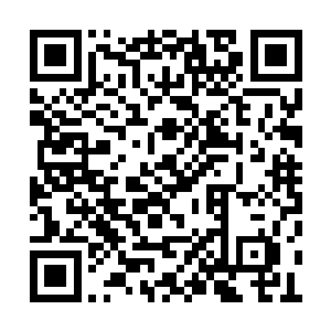 不禁没好气地对着戴永舟的脑袋给了个爆炒栗子二维码生成