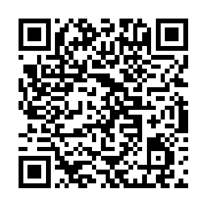 不禁让人想起一个很是神圣的高智商游戏――砸鼹鼠二维码生成