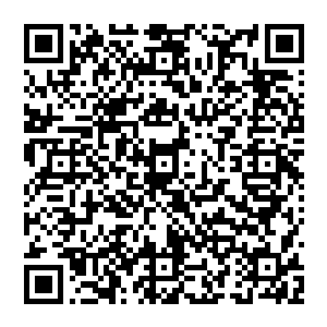 不等延森把话说完马缰长老就开口阻止了延森接下来的话语而目光却紧紧的盯着剑尘和努比斯二人二维码生成