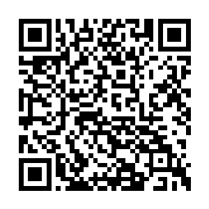 不等林锐等人手下的佣兵队员完全展开作战队形二维码生成