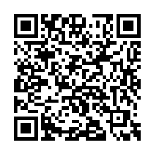 不算鬼眼圣手手中那块已经有了成型道纹的元石二维码生成