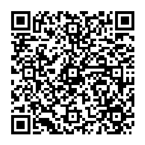 不管不顾的贝海这边又花了五六分钟刨了两盘子肉卷儿还有弄了点儿菜又摆上桌来二维码生成