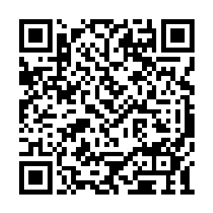 不管乞丐是真心的组织龙腾派和柳眉派的联谊会二维码生成