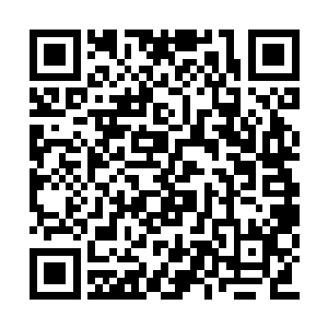 不管他是用什么办法击败大师级后期的金正明的二维码生成