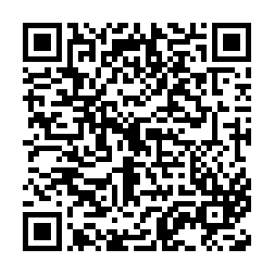 不管他那边是不是能从赵一登那里争取到独立自主签演员约的权利二维码生成
