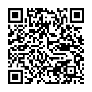 不管怎么样抱着这两个小家伙的安全才是一件重要的事情二维码生成