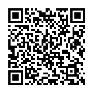 不管怎么说也好过被大白鲨这么活生生的吃掉吧二维码生成