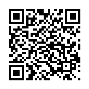 不管怎么说他都是这个东门的守门将领二维码生成