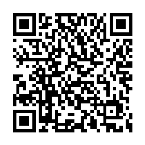 不管怎么说叶家与我也还是有着血脉之亲的亲人二维码生成