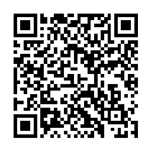 不管撒旦和帛曳对他们其中除了酆都大帝之外的谁出手二维码生成