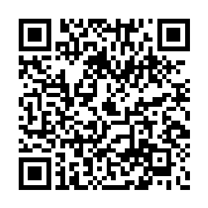 不管放在哪个势力都是一股不容忽视的强大力量二维码生成