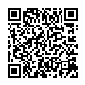 不管是人族还是妖族都不准踏入拨金鼠部落半步二维码生成