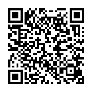 不管是剑气还是自身的力量还是意境之力都无比的凝聚二维码生成
