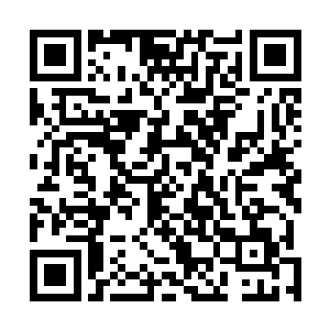 不管是否通过考核的人都会赠送一份制作绿级符箓的材料二维码生成