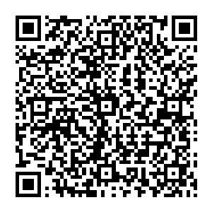 不管是她发现了水中有毒避免了更多的人受伤还是制作了解毒的丸子药让族人抵抗住敌人的攻击二维码生成