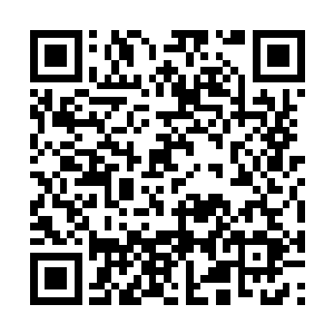 不管是家里头还是亲戚家自然也有没入诗社的姑娘二维码生成