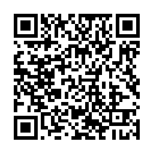 不管是旧臣势力还是叛臣势力的修士都为我捏了把冷汗二维码生成