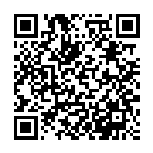 不管是炎黄部落还是飞龙部落的人都有点不敢相信自己的耳朵二维码生成