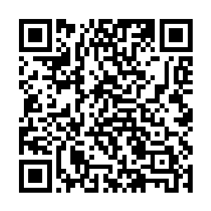 不管是熊孩子们还是童心未泯的青年勇士们都很高兴二维码生成