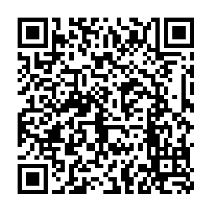 不管是牵制更多的神族主宰境强者还是斩杀更多的神族战士都可以二维码生成