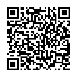 不管是联邦的人心还是政府人员的人心到时候都是向着威廉的二维码生成