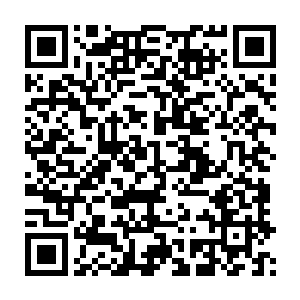 不管是苏凡刚刚的伸手还是此刻还将小刀抵在自己朋友喉咙之上的修罗二维码生成