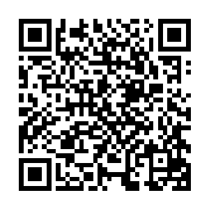 不管是苏凡还是云思凡看着这封邮件的名字都立马猜到了上面二维码生成
