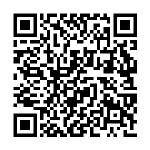 不管是资历还是实力山哥都是独一无二的人选啊二维码生成