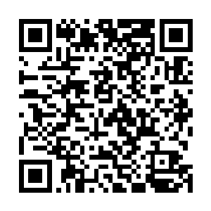 不管是这片大陆上有的还是她前世见过的全都写进那里面二维码生成