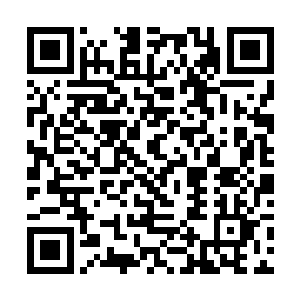 不管最后查出来真正对小奶娃下毒手的人是不是明郁二维码生成