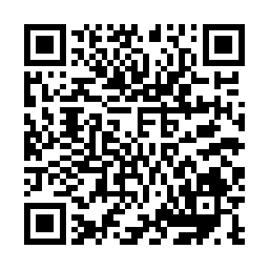 不管有多少灵兽我们总是可以抽出时间填饱自己的肚子的二维码生成