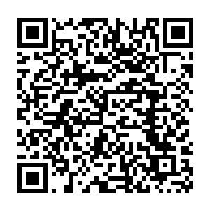 不管朝廷还有江湖世家都有后台依仗……太子的地位现在岌岌可危二维码生成