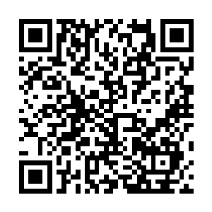 不管现在都门禁军那些军汉多么让人瞧不起他们的战斗力二维码生成