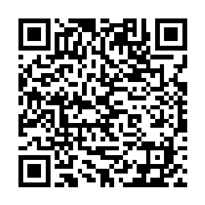 不管秦洛用什么理由安慰凌母都没办法掩饰一个事实二维码生成