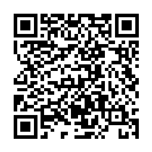 不管谁想做这个陇右节度使想绕开云峥是不可能的二维码生成