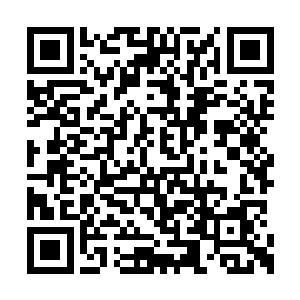 不管这一战结果如何……能与你这样的对手交战二维码生成