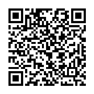 不约而同地看向四人中看起来年纪最大阅历分数最高的纪古二维码生成