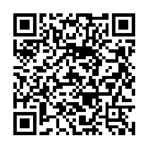 不约而同地落在桂圆身后一个个巨大而沉重的木箱二维码生成