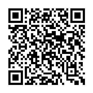 不约而同跟三方势力给了个开门见山的冷血说法二维码生成