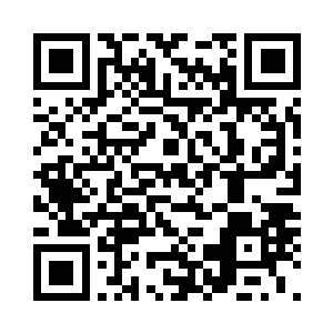 不经意间翻到一个塞满密疏的小匣子二维码生成