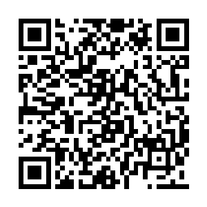 不能不说这家伙如此年轻能当到县委书记位置上二维码生成