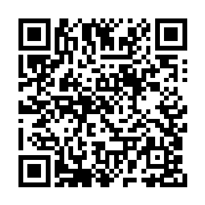 不能不说陆为民在这个方案上下了相当大的功夫二维码生成