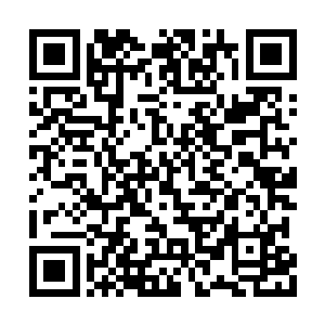 不能以抗击外敌与国家大乱时的眼光来看待人族二维码生成