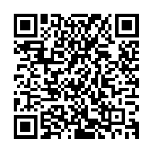不能像给侯博望创作的形式那样――这个时代的人文学素养虽高二维码生成